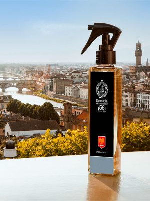 Farmacia SS. Annunziata Diffusori Ambiente Arte dei Mercatanti - immagine 2