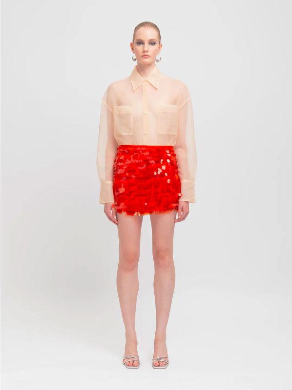 WEILI ZHENG CAMICIA IN ORGANZA NUDE