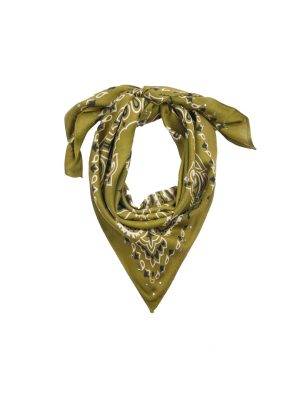 WILD SCIARPA MEDIA PAISLEY KAKI - immagine 3