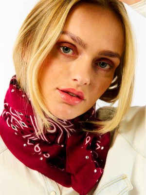 WILD SCIARPA MEDIA PAISLEY BORDEAUX